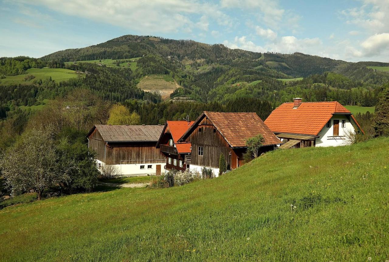 Ferienwohnungen Raczkowski Birkfeld Zewnętrze zdjęcie