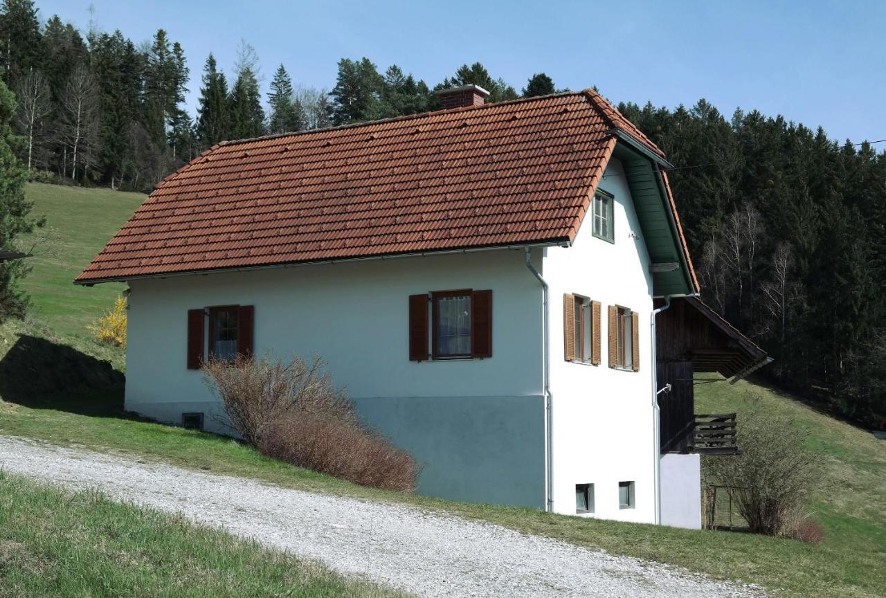 Ferienwohnungen Raczkowski Birkfeld Zewnętrze zdjęcie
